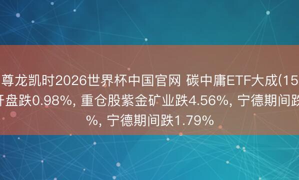 尊龙凯时2026世界杯中国官网 碳中庸ETF大成(159642)开盘跌0.98%， 重仓股紫金矿业跌4.56%， 宁德期间跌1.79%