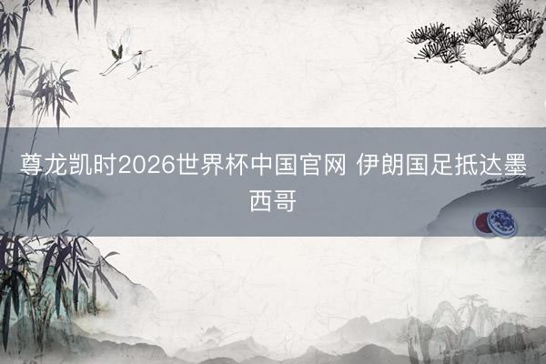 尊龙凯时2026世界杯中国官网 伊朗国足抵达墨西哥