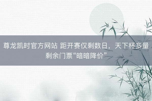尊龙凯时官方网站 距开赛仅剩数日，天下杯多量剩余门票“暗暗降价”