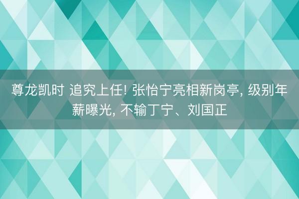 尊龙凯时 追究上任! 张怡宁亮相新岗亭， 级别年薪曝光， 不输丁宁、刘国正