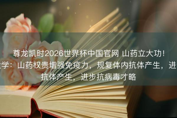 尊龙凯时2026世界杯中国官网 山药立大功！山东中医药大学：山药权贵增强免疫力，规复体内抗体产生，进步抗病毒才略