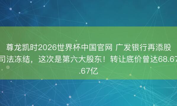 尊龙凯时2026世界杯中国官网 广发银行再添股权司法冻结，这次是第六大股东！转让底价曾达68.67亿