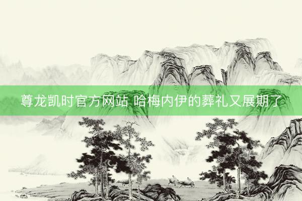 尊龙凯时官方网站 哈梅内伊的葬礼又展期了