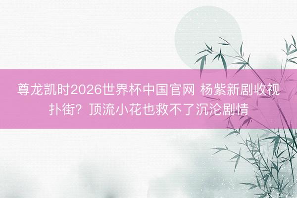 尊龙凯时2026世界杯中国官网 杨紫新剧收视扑街？顶流小花也救不了沉沦剧情