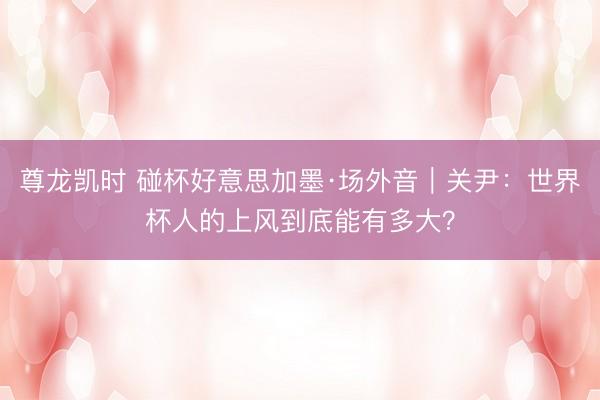 尊龙凯时 碰杯好意思加墨·场外音｜关尹：世界杯人的上风到底能有多大？