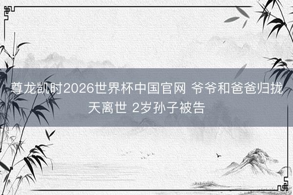 尊龙凯时2026世界杯中国官网 爷爷和爸爸归拢天离世 2岁孙子被告