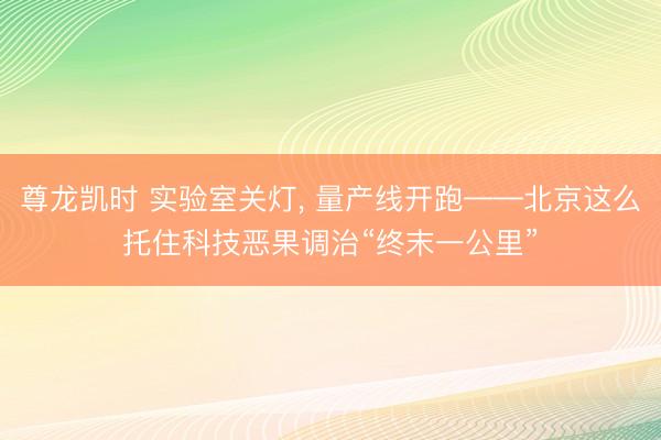 尊龙凯时 实验室关灯, 量产线开跑——北京这么托住科技恶果调治“终末一公里”