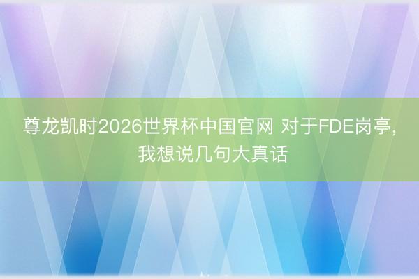 尊龙凯时2026世界杯中国官网 对于FDE岗亭, 我想说几句大真话